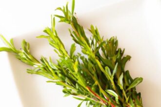 Why Your Herbs Are Taking Forever to Dry (And How to Fix It)
