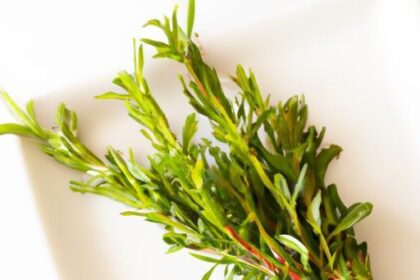 Why Your Herbs Are Taking Forever to Dry (And How to Fix It)