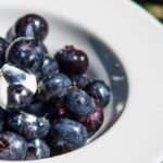 Berry Quest: Master the Art of Foraging Wild Blueberries