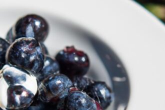 Berry Quest: Master the Art of Foraging Wild Blueberries