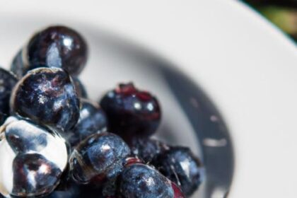 Berry Quest: Master the Art of Foraging Wild Blueberries