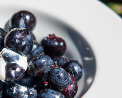 Berry Quest: Master the Art of Foraging Wild Blueberries