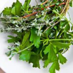 Why Are My Herbs Molding While Air Drying? Tips Inside