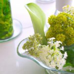 Crafting Chive Blossom Vinegar: A Step-by-Step Guide