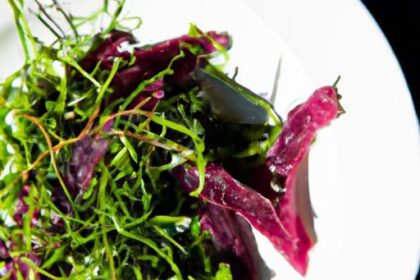 Foraging Fresh: A Wild Violet Leaf Salad Recipe Delight