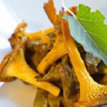 Hunting Hidden Gold: Where Chanterelles Thrive After Rain