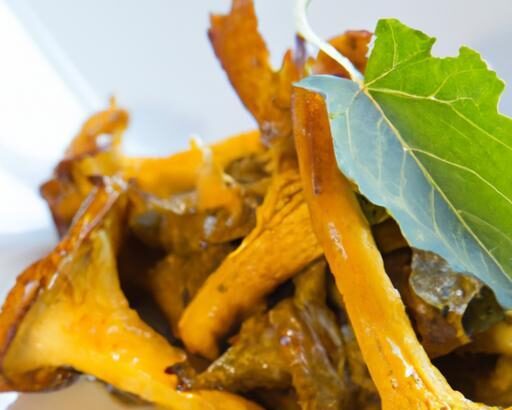 Hunting Hidden Gold: Where Chanterelles Thrive After Rain