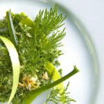 Drying Nettles: A Forager’s Guide to Preserving Greens