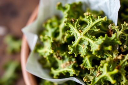 شرائح كرنب مجعد مقرمشة ومغذية في جهاز التجفيف