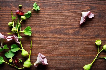 خضروات برية ملونة على لوح خشبي تدل على فوائدها الغذائية