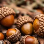 فنجان مشروب داكن من بلوط محمص كبديل جريء للقهوة