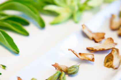 Herb Drying Decoded: Spotting When Herbs Are Perfectly Crisp