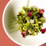 Foraging Goumi Berries: A Sweet Guide to Wild Harvesting