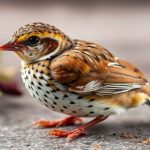 سُمان مُدخن مثالي على طبق خشبي مع أعشاب طازجة