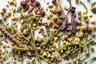 أعشاب مجففة ومقرمشة على منخل خشبي تُظهر جفافًا مثاليًا